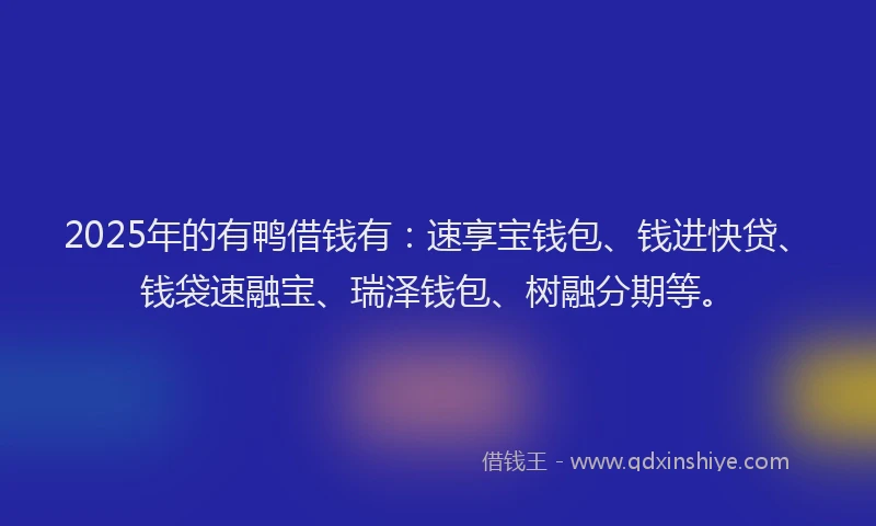2025年的有鸭借钱有：速享宝钱包、钱进快贷、钱袋速融宝、瑞泽钱包、树融分期等。