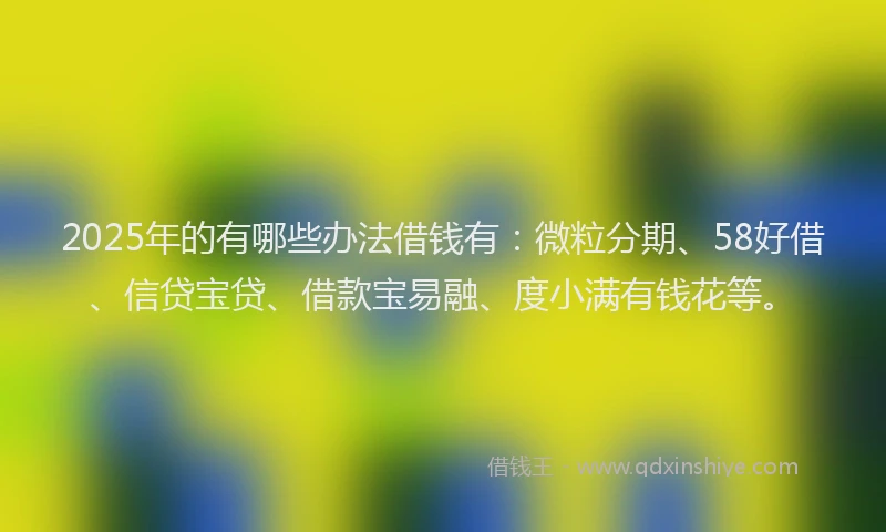 2025年的有哪些办法借钱有：微粒分期、58好借、信贷宝贷、借款宝易融、度小满有钱花等。