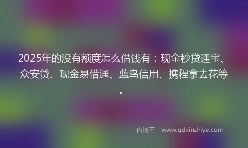 2025年的没有额度怎么借钱有：现金秒贷通宝、众安贷、现金易借通、蓝鸟信用、携程拿去花等。
