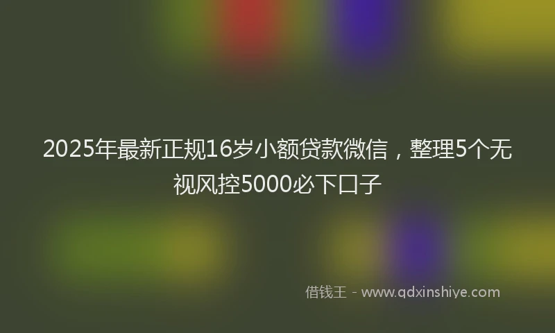 2025年最新正规16岁小额贷款微信，整理5个无视风控5000必下口子