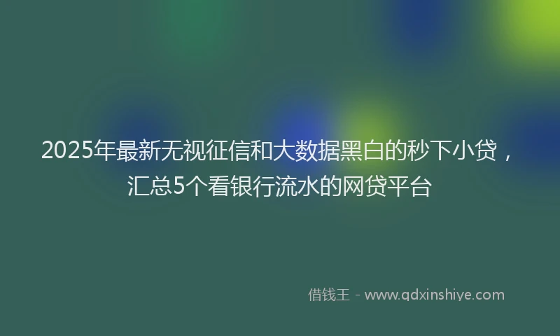 2025年最新无视征信和大数据黑白的秒下小贷，汇总5个看银行流水的网贷平台