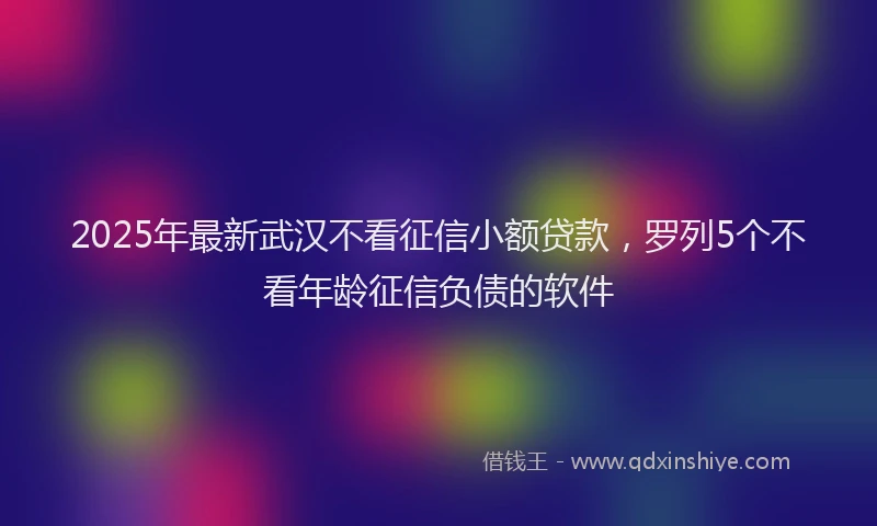 2025年最新武汉不看征信小额贷款，罗列5个不看年龄征信负债的软件