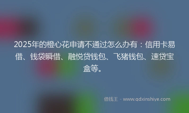 2025年的橙心花申请不通过怎么办有：信用卡易借、钱袋瞬借、融悦贷钱包、飞猪钱包、速贷宝盒等。