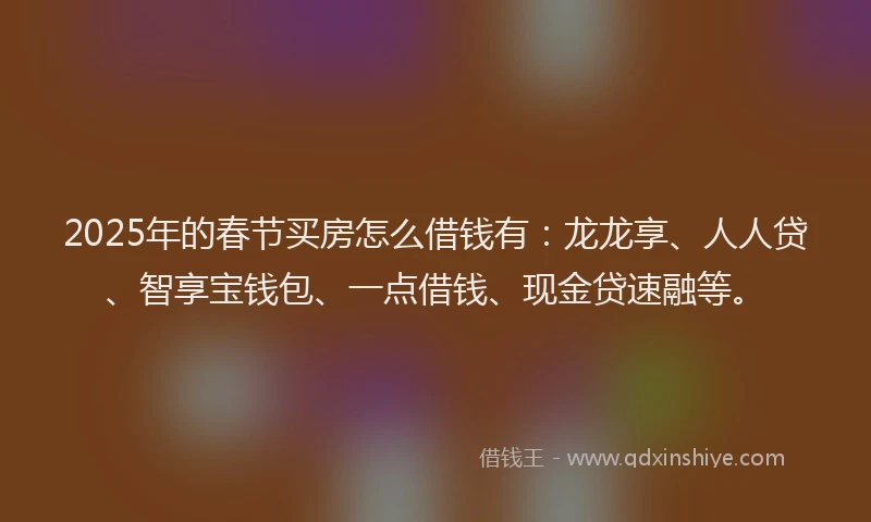 2025年的春节买房怎么借钱有：龙龙享、人人贷、智享宝钱包、一点借钱、现金贷速融等。