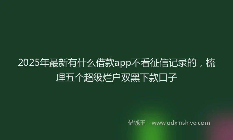 2025年最新有什么借款app不看征信记录的，梳理五个超级烂户双黑下款口子