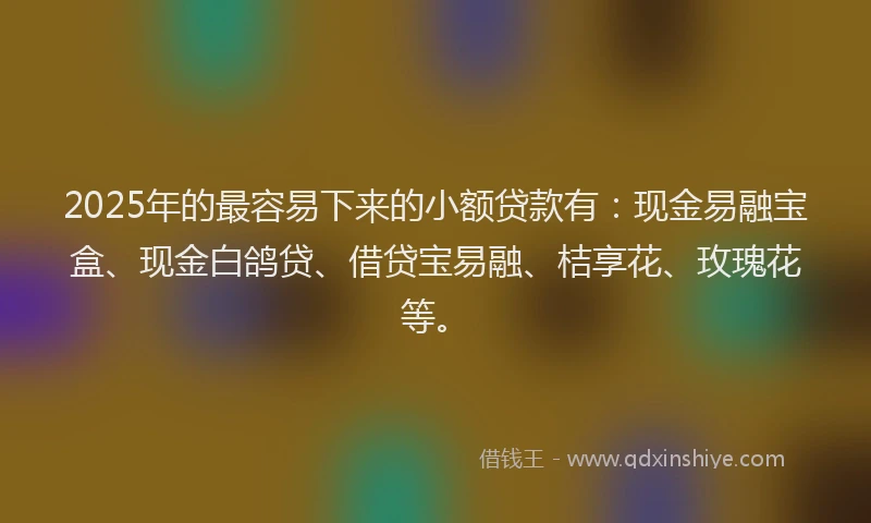 2025年的最容易下来的小额贷款有：现金易融宝盒、现金白鸽贷、借贷宝易融、桔享花、玫瑰花等。