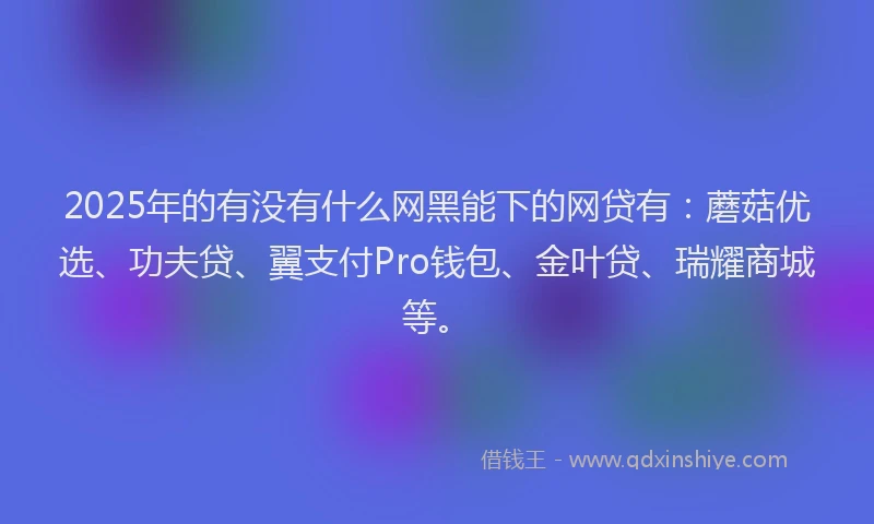2025年的有没有什么网黑能下的网贷有：蘑菇优选、功夫贷、翼支付Pro钱包、金叶贷、瑞耀商城等。