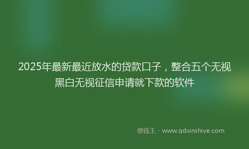 2025年最新最近放水的贷款口子，整合五个无视黑白无视征信申请就下款的软件