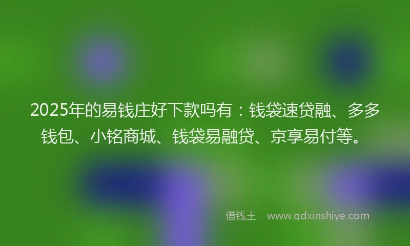 2025年的易钱庄好下款吗有：钱袋速贷融、多多钱包、小铭商城、钱袋易融贷、京享易付等。