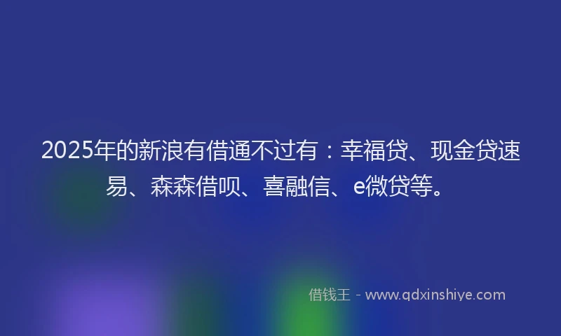 2025年的新浪有借通不过有：幸福贷、现金贷速易、森森借呗、喜融信、e微贷等。