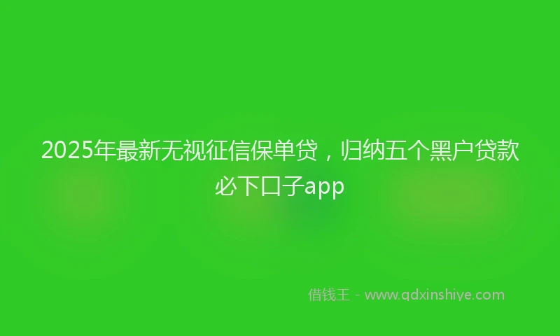 2025年最新无视征信保单贷，归纳五个黑户贷款必下口子app