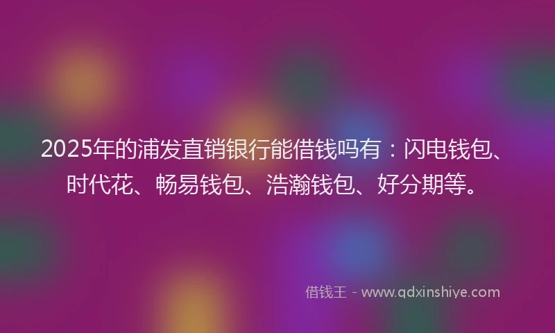 2025年的浦发直销银行能借钱吗有：闪电钱包、时代花、畅易钱包、浩瀚钱包、好分期等。