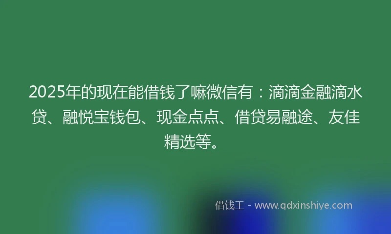 2025年的现在能借钱了嘛微信有：滴滴金融滴水贷、融悦宝钱包、现金点点、借贷易融途、友佳精选等。