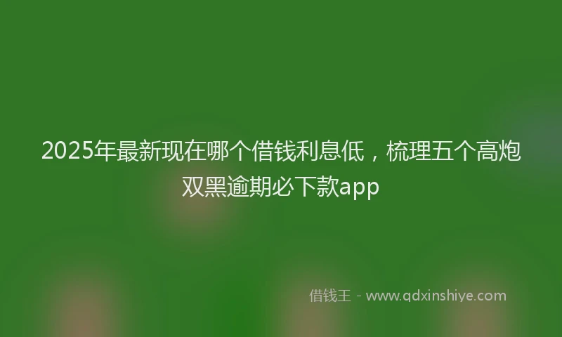 2025年最新现在哪个借钱利息低，梳理五个高炮双黑逾期必下款app