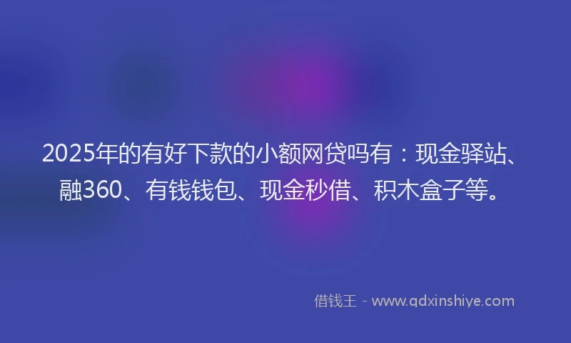 2025年的有好下款的小额网贷吗有：现金驿站、融360、有钱钱包、现金秒借、积木盒子等。