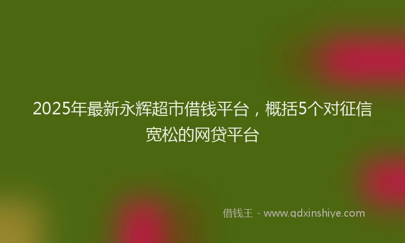 2025年最新永辉超市借钱平台，概括5个对征信宽松的网贷平台
