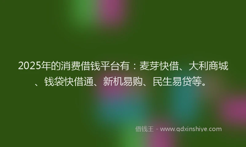 2025年的消费借钱平台有：麦芽快借、大利商城、钱袋快借通、新机易购、民生易贷等。