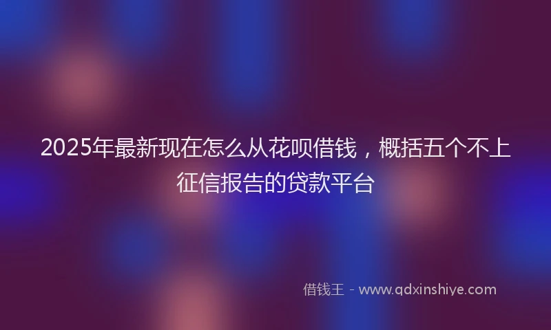 2025年最新现在怎么从花呗借钱，概括五个不上征信报告的贷款平台