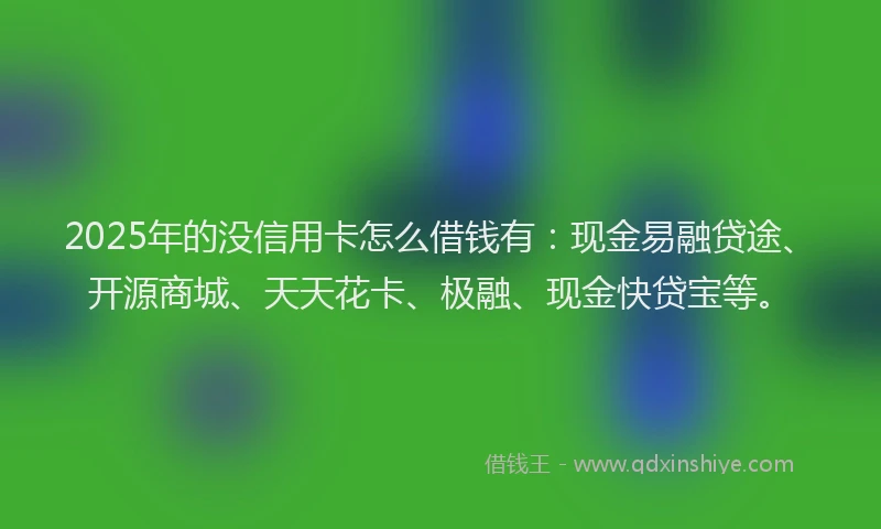 2025年的没信用卡怎么借钱有：现金易融贷途、开源商城、天天花卡、极融、现金快贷宝等。