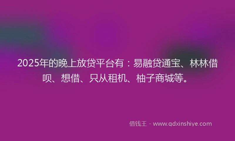 2025年的晚上放贷平台有：易融贷通宝、林林借呗、想借、只从租机、柚子商城等。