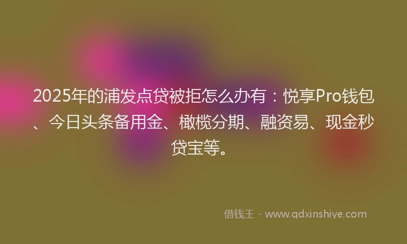 2025年的浦发点贷被拒怎么办有：悦享Pro钱包、今日头条备用金、橄榄分期、融资易、现金秒贷宝等。
