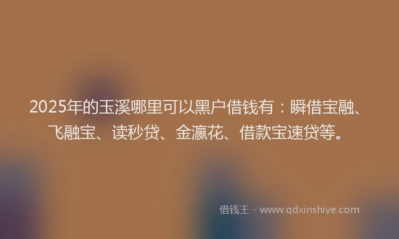 2025年的玉溪哪里可以黑户借钱有：瞬借宝融、飞融宝、读秒贷、金瀛花、借款宝速贷等。