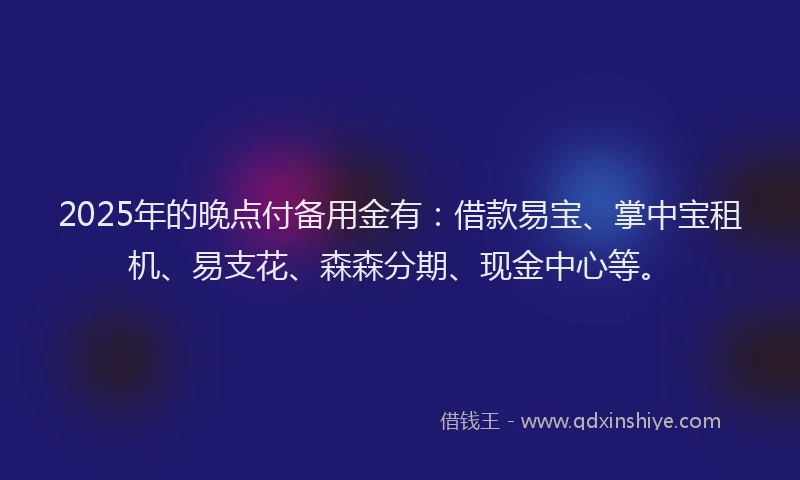 2025年的晚点付备用金有：借款易宝、掌中宝租机、易支花、森森分期、现金中心等。