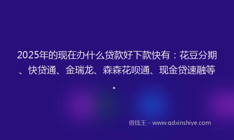 2025年的现在办什么贷款好下款快有：花豆分期、快贷通、金瑞龙、森森花呗通、现金贷速融等。