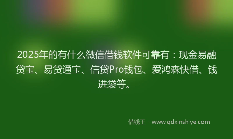 2025年的有什么微信借钱软件可靠有：现金易融贷宝、易贷通宝、信贷Pro钱包、爱鸿森快借、钱进袋等。