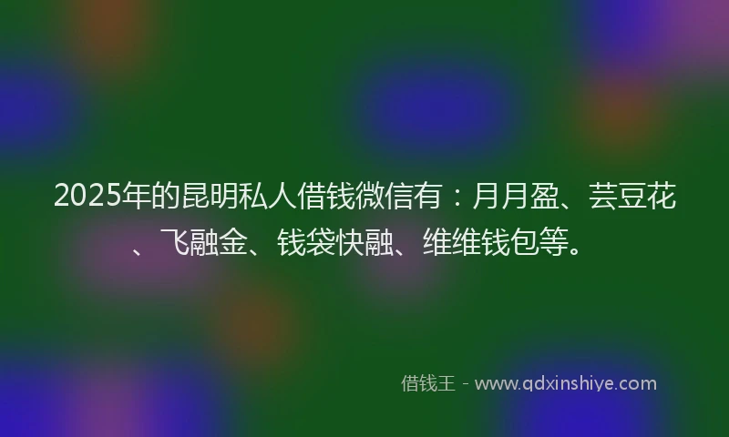 2025年的昆明私人借钱微信有：月月盈、芸豆花、飞融金、钱袋快融、维维钱包等。
