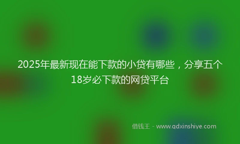 2025年最新现在能下款的小贷有哪些，分享五个18岁必下款的网贷平台