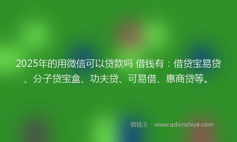2025年的用微信可以贷款吗 借钱有：借贷宝易贷、分子贷宝盒、功夫贷、可易借、惠商贷等。