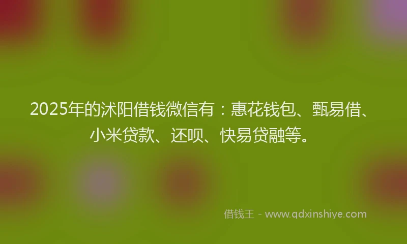 2025年的沭阳借钱微信有：惠花钱包、甄易借、小米贷款、还呗、快易贷融等。