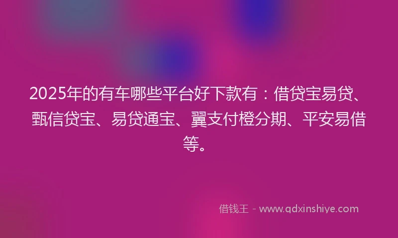 2025年的有车哪些平台好下款有：借贷宝易贷、甄信贷宝、易贷通宝、翼支付橙分期、平安易借等。