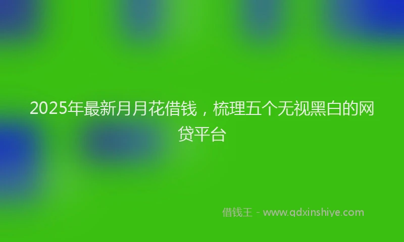 2025年最新月月花借钱，梳理五个无视黑白的网贷平台