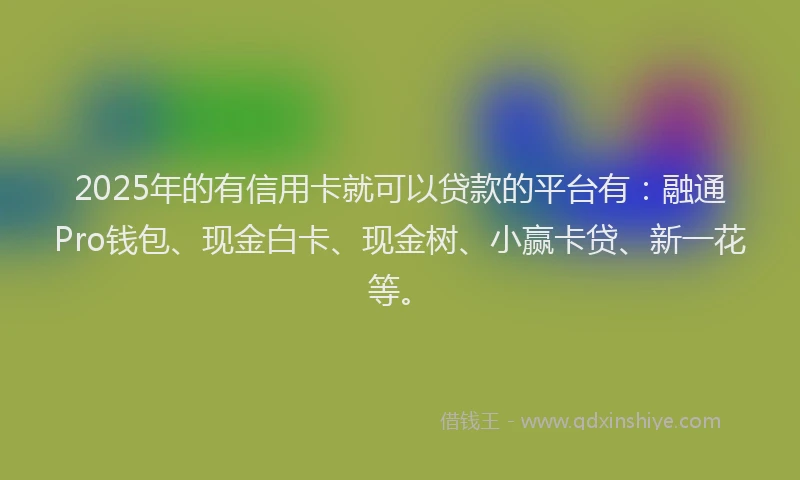 2025年的有信用卡就可以贷款的平台有：融通Pro钱包、现金白卡、现金树、小赢卡贷、新一花等。