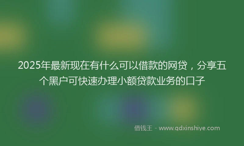 2025年最新现在有什么可以借款的网贷，分享五个黑户可快速办理小额贷款业务的口子