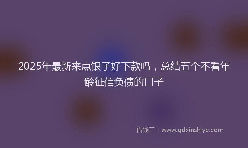 2025年最新来点银子好下款吗，总结五个不看年龄征信负债的口子