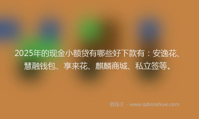 2025年的现金小额贷有哪些好下款有：安逸花、慧融钱包、享来花、麒麟商城、私立签等。