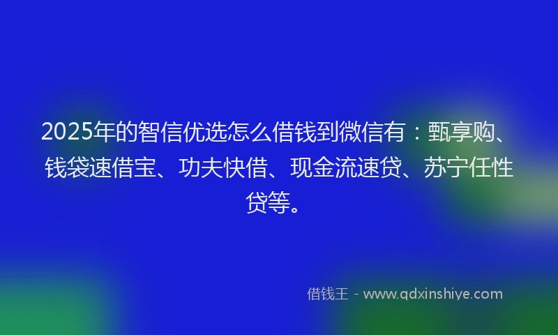 2025年的智信优选怎么借钱到微信有：甄享购、钱袋速借宝、功夫快借、现金流速贷、苏宁任性贷等。