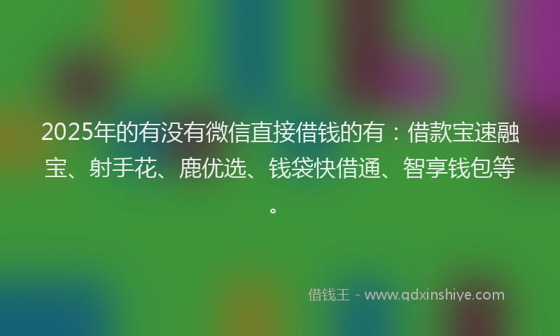 2025年的有没有微信直接借钱的有：借款宝速融宝、射手花、鹿优选、钱袋快借通、智享钱包等。