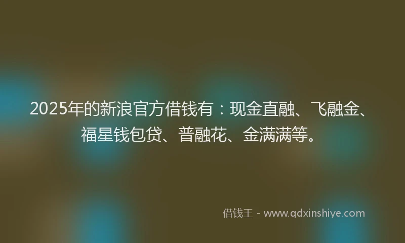 2025年的新浪官方借钱有：现金直融、飞融金、福星钱包贷、普融花、金满满等。