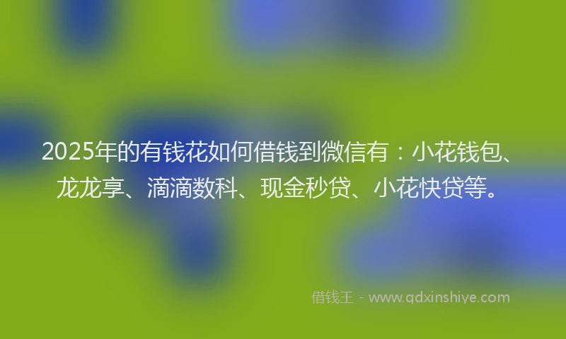 2025年的有钱花如何借钱到微信有：小花钱包、龙龙享、滴滴数科、现金秒贷、小花快贷等。