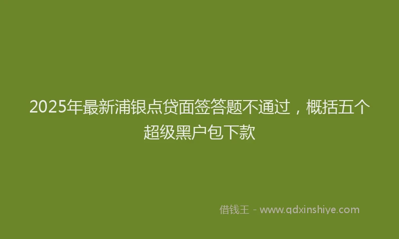 2025年最新浦银点贷面签答题不通过，概括五个超级黑户包下款