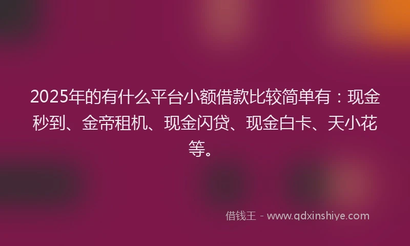 2025年的有什么平台小额借款比较简单有：现金秒到、金帝租机、现金闪贷、现金白卡、天小花等。