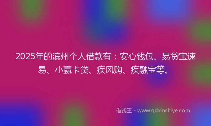 2025年的滨州个人借款有：安心钱包、易贷宝速易、小赢卡贷、疾风购、疾融宝等。