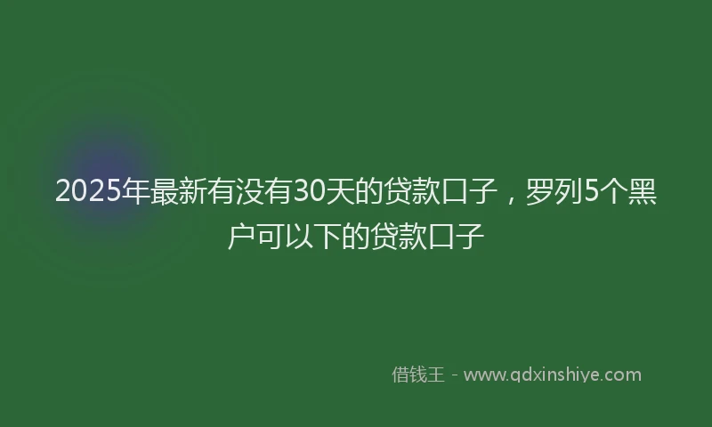 2025年最新有没有30天的贷款口子，罗列5个黑户可以下的贷款口子
