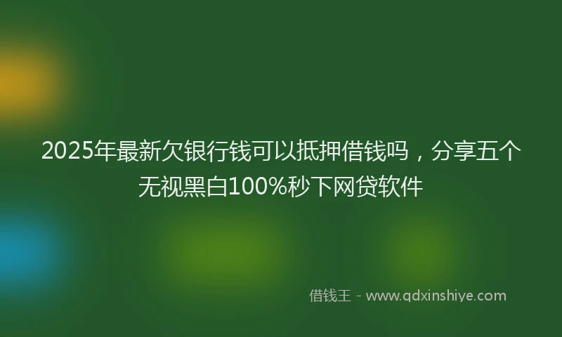 2025年最新欠银行钱可以抵押借钱吗，分享五个无视黑白100%秒下网贷软件