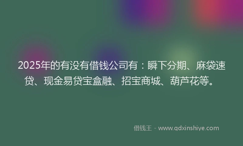 2025年的有没有借钱公司有：瞬下分期、麻袋速贷、现金易贷宝盒融、招宝商城、葫芦花等。