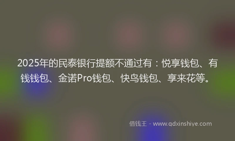 2025年的民泰银行提额不通过有：悦享钱包、有钱钱包、金诺Pro钱包、快鸟钱包、享来花等。